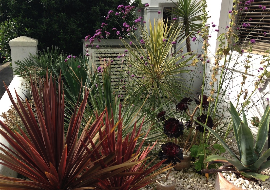 White themed front garden in Brighton, Sussex, with a bespoke recycling store and spiky exotic planting.